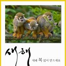 (주)지티엘커뮤니케이션 이미지