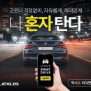 스트라비전 이미지