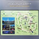 생선노점상(오수시장 노점상) | 부산 남포동·국제시장 여행기Ⅰ깡통시장 길거리 음식과 용두산 공원 산책으로 느낀 부산의 정취