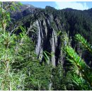 대만 옥산트래킹 : 백목림 ⟾ 배운산장(台灣 玉山Trekking : 白木林 ⟾ 排雲山莊) 이미지