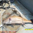 k3바다낚시터 이미지