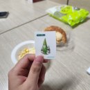늘연