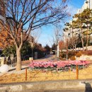 대구선아양공원2 이미지