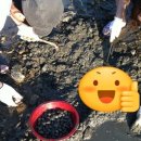 비치당구장 이미지