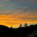 선문염송설화 이미지