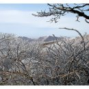 소백산 비로봉 눈꽃산행 예약란 이미지