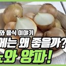 당뇨환자 양파 먹어도 될까요? 이미지