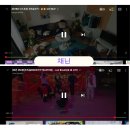채닌