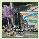 원주시설환경노동조합 | 원주두리캠핑장 2박3일 후기｜아이들이 미친듯 좋아한 강원도 키즈캠핑장