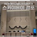 스카이 토탈 휘트니스 센타 | 강릉 오션뷰 숙소 스카이베이 호텔 경포 이그제큐티브 룸 솔직 후기 (어메니티/피트니스/주차)