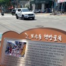 체리숙녀복 이미지