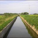 제일교회사거리 이미지