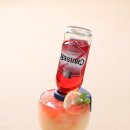 비어셀프 이미지