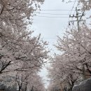 GS25 합정패밀리점 이미지