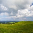 선도목장 이미지