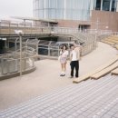 묘 미 앤 | 1월 드라마 시청 감상 기록