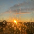 59피자 도당동 강남시장점 | [벨기에 교환일기-9] 이탈리아 9박 10일 - 로마 🇮🇹 🍝 🍕