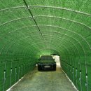 터무니하우스 이미지