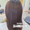 포쉬헤어살롱 - 달서구 | 포쉬헤어살롱