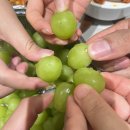 세명농장 | 파주 집들이 및 2025년 고양시 불꽃축제 후기