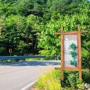 통나무민박3 이미지