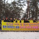 라이온 스크린골프 이미지