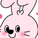 반려악기 우쿠렐레 이미지