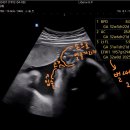 리베르여성병원 이미지