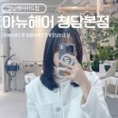 강남-127 | 강남 레이어드펌 아뉴헤어 청담 레이어드컷 헤어컨설팅 후기