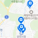 도담민들레치과의원 네이버블로그