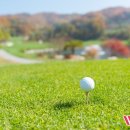 더블유스크린골프 이미지