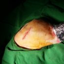 오산25시종합동물병원 이미지