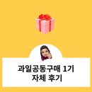 월천농장 | [공지] 과일공동구매 셀프후기 오픈카톡으로 공구하는 방법