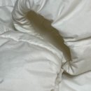 하얀나라세탁소 이미지