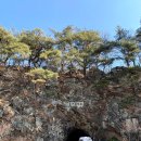 무주덕유산리조트산림욕장 네이버블로그