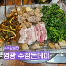 수정돈데이