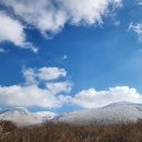 (주)제주백록담 이미지