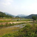 꽃돌농장 이미지