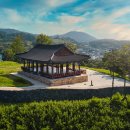 보령청과 이미지