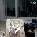 마음씨 따뜻한 채수빈 발렌타인데이선물