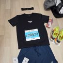 풀코스 | 너무 더웠던 2026 대구마라톤 풀코스 후기