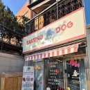 테이스팅독 이미지