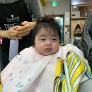 지오크리에이티브 대전충청지사 | 다복이 사두 교정일지 사두 진단법 대전지오헬멧