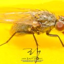 파리 - 북구 | 파리