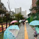 점프윙스 이미지