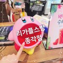 리가플스방 이미지