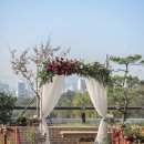 드까르멜릿 이미지