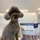 바나나소프트 | 펫본 소프트 강아지 치석제거 껌 내돈내산 후기 블루베리맛으로 양치 후 보상템 완성 💙