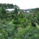 새아침펜션 이미지