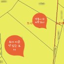 김태유부동산중개사무소 이미지
